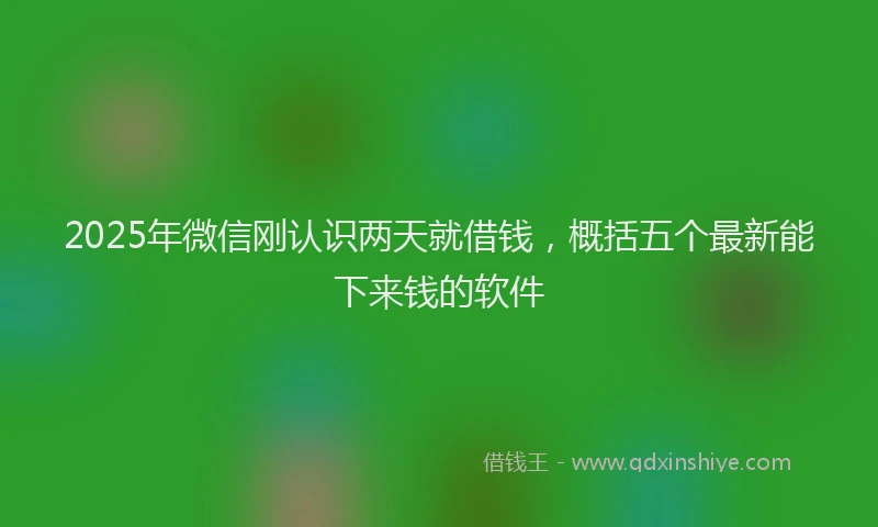 2025年微信刚认识两天就借钱，概括五个最新能下来钱的软件
