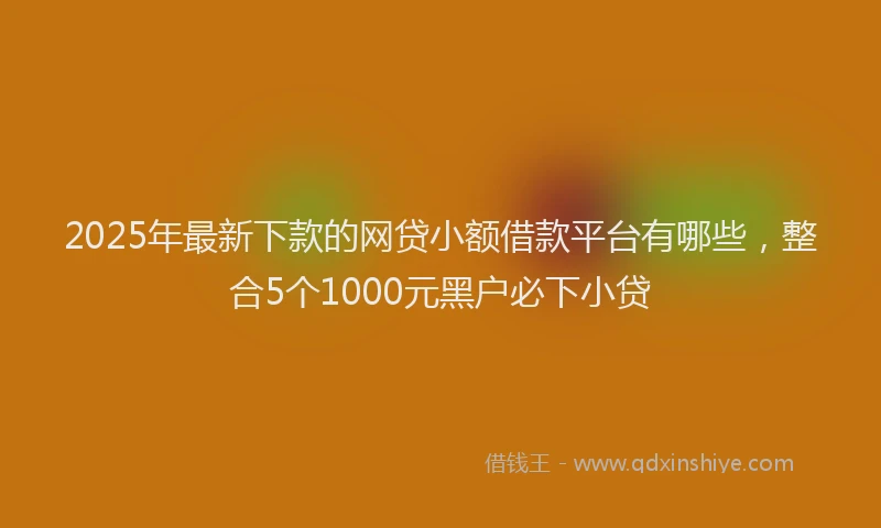 2025年最新下款的网贷小额借款平台有哪些，整合5个1000元黑户必下小贷