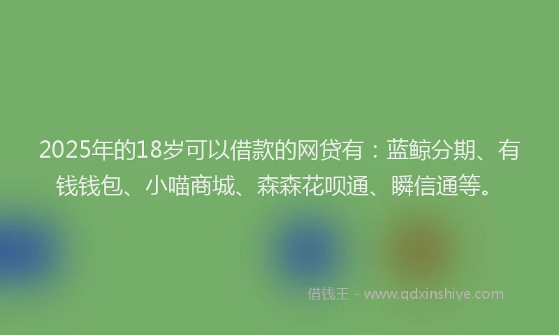 2025年的18岁可以借款的网贷有：蓝鲸分期、有钱钱包、小喵商城、森森花呗通、瞬信通等。