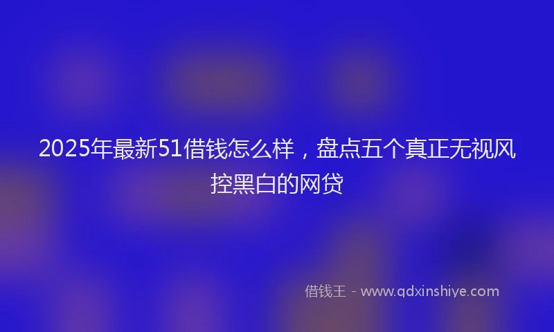 2025年最新51借钱怎么样，盘点五个真正无视风控黑白的网贷