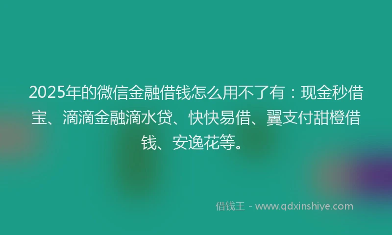 2025年的微信金融借钱怎么用不了有：现金秒借宝、滴滴金融滴水贷、快快易借、翼支付甜橙借钱、安逸花等。