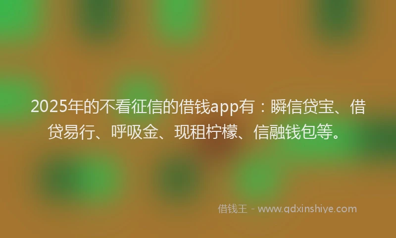 2025年的不看征信的借钱app有：瞬信贷宝、借贷易行、呼吸金、现租柠檬、信融钱包等。