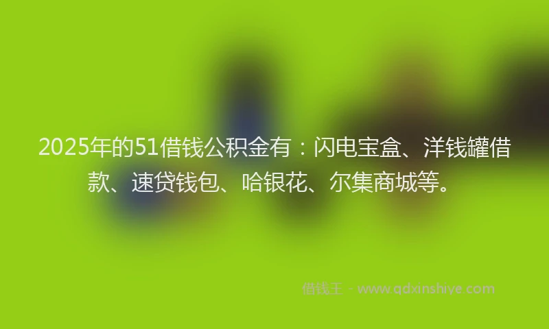 2025年的51借钱公积金有：闪电宝盒、洋钱罐借款、速贷钱包、哈银花、尔集商城等。