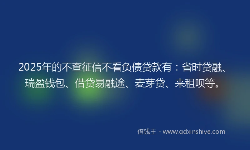 2025年的不查征信不看负债贷款有：省时贷融、瑞盈钱包、借贷易融途、麦芽贷、来租呗等。