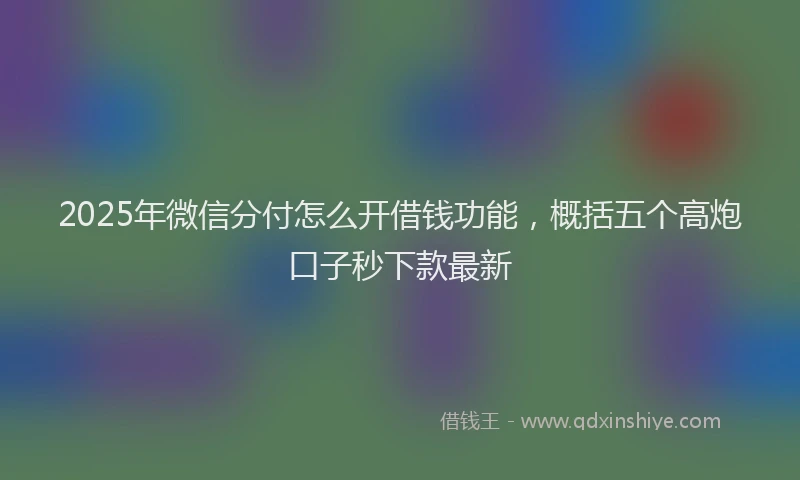 2025年微信分付怎么开借钱功能，概括五个高炮口子秒下款最新