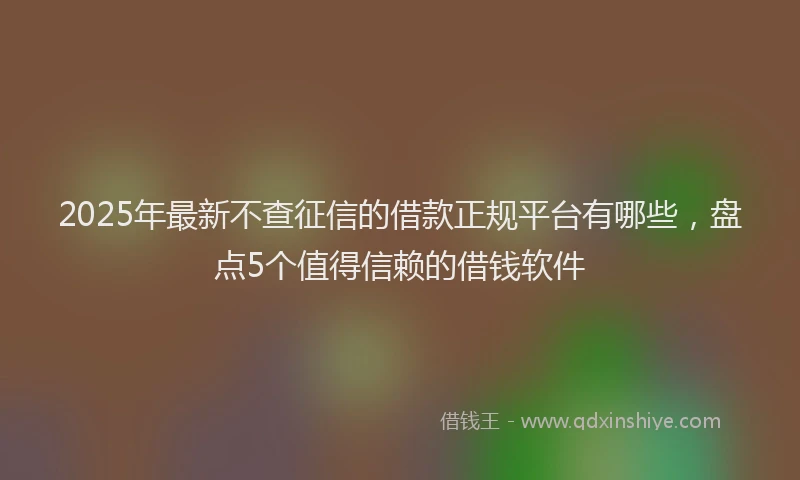 2025年最新不查征信的借款正规平台有哪些，盘点5个值得信赖的借钱软件