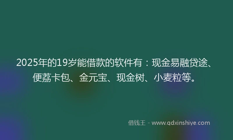 2025年的19岁能借款的软件有：现金易融贷途、便荔卡包、金元宝、现金树、小麦粒等。