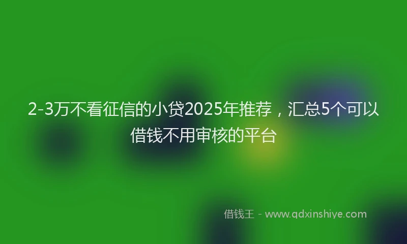 2-3万不看征信的小贷2025年推荐，汇总5个可以借钱不用审核的平台