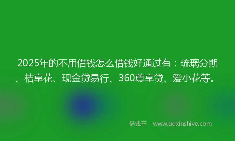 2025年的不用借钱怎么借钱好通过有：琉璃分期、桔享花、现金贷易行、360尊享贷、爱小花等。