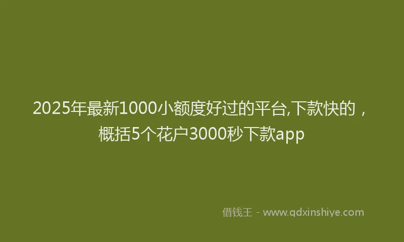 2025年最新1000小额度好过的平台,下款快的，概括5个花户3000秒下款app