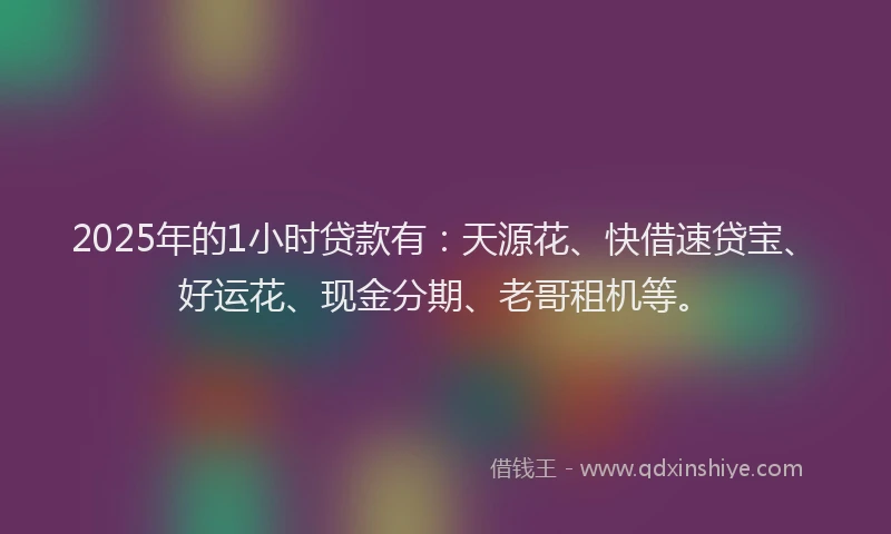 2025年的1小时贷款有：天源花、快借速贷宝、好运花、现金分期、老哥租机等。