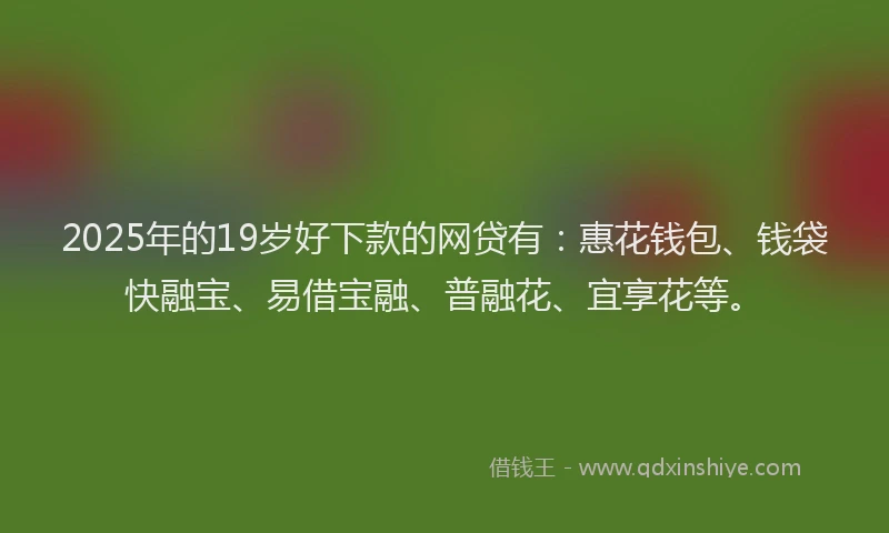 2025年的19岁好下款的网贷有：惠花钱包、钱袋快融宝、易借宝融、普融花、宜享花等。