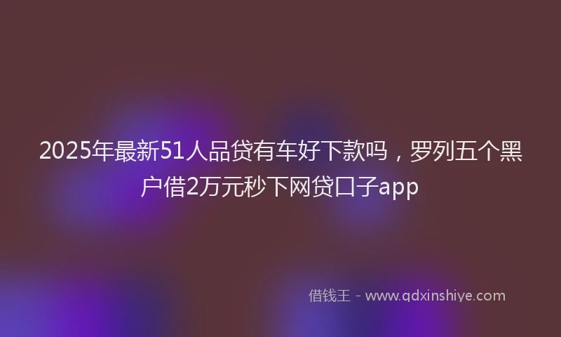 2025年最新51人品贷有车好下款吗，罗列五个黑户借2万元秒下网贷口子app