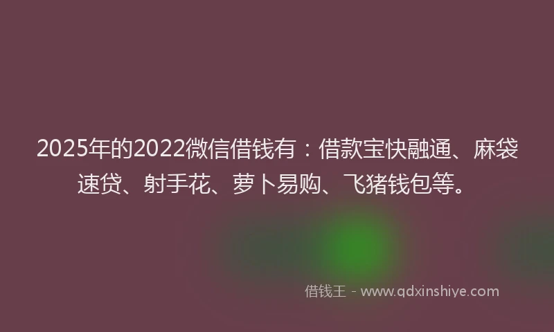 2025年的2022微信借钱有：借款宝快融通、麻袋速贷、射手花、萝卜易购、飞猪钱包等。