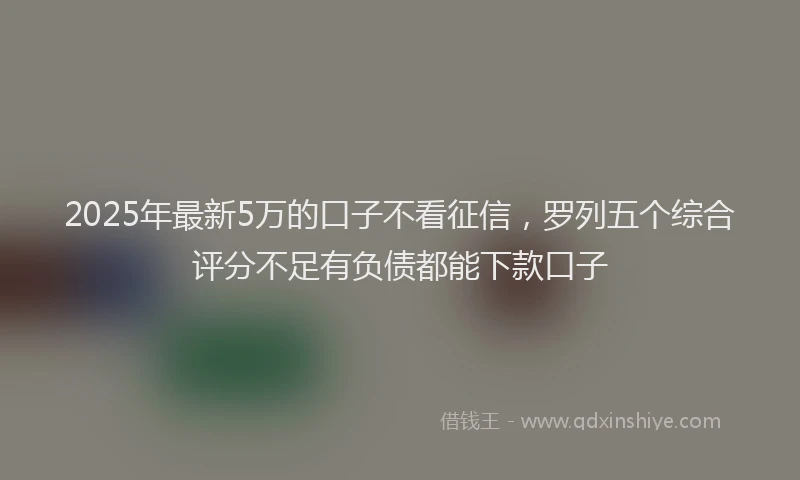 2025年最新5万的口子不看征信，罗列五个综合评分不足有负债都能下款口子