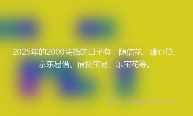 2025年的2000块钱的口子有：随信花、臻心贷、京东易借、借贷宝易、乐宝花等。