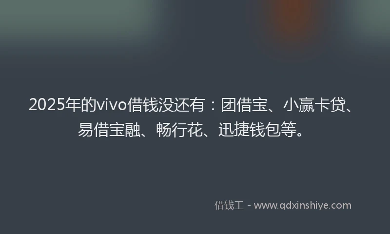 2025年的vivo借钱没还有：团借宝、小赢卡贷、易借宝融、畅行花、迅捷钱包等。