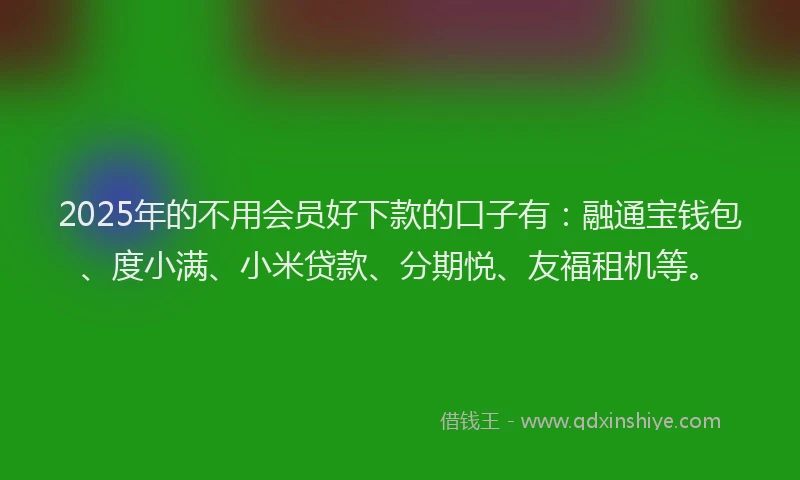 2025年的不用会员好下款的口子有：融通宝钱包、度小满、小米贷款、分期悦、友福租机等。