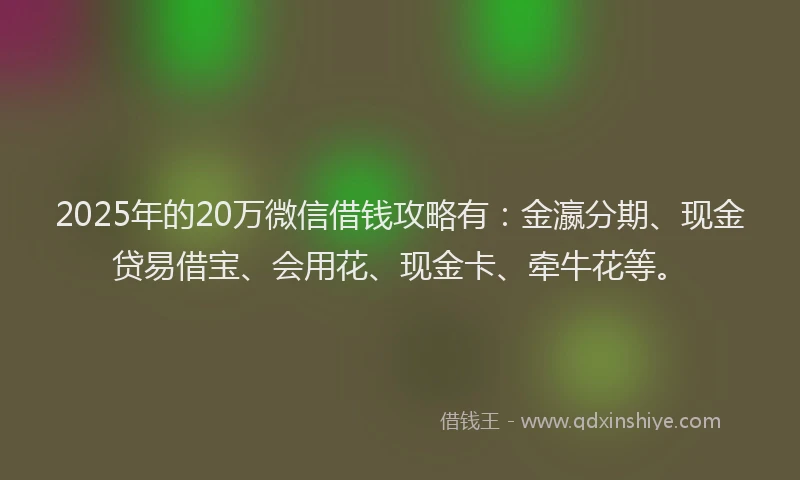 2025年的20万微信借钱攻略有：金瀛分期、现金贷易借宝、会用花、现金卡、牵牛花等。