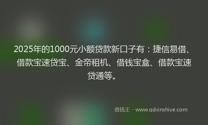 2025年的1000元小额贷款新口子有：捷信易借、借款宝速贷宝、金帝租机、借钱宝盒、借款宝速贷通等。