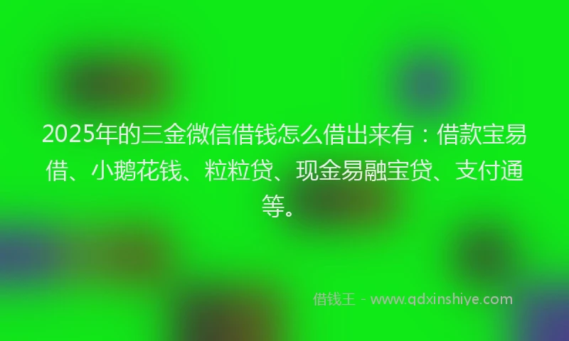 2025年的三金微信借钱怎么借出来有：借款宝易借、小鹅花钱、粒粒贷、现金易融宝贷、支付通等。