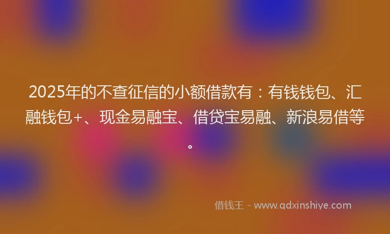 2025年的不查征信的小额借款有：有钱钱包、汇融钱包+、现金易融宝、借贷宝易融、新浪易借等。