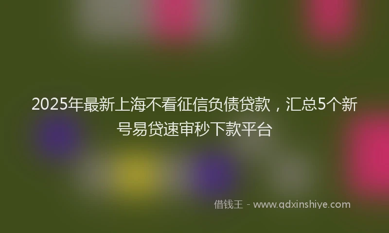 2025年最新上海不看征信负债贷款，汇总5个新号易贷速审秒下款平台