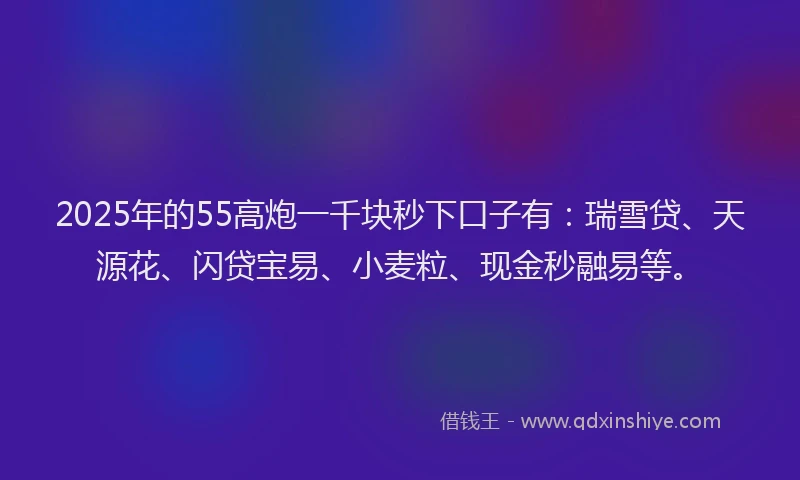 2025年的55高炮一千块秒下口子有：瑞雪贷、天源花、闪贷宝易、小麦粒、现金秒融易等。