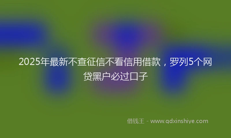 2025年最新不查征信不看信用借款，罗列5个网贷黑户必过口子