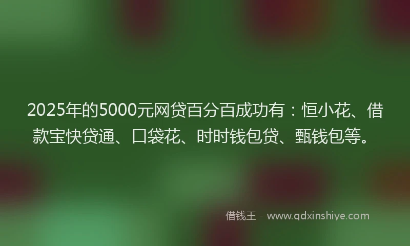 2025年的5000元网贷百分百成功有：恒小花、借款宝快贷通、口袋花、时时钱包贷、甄钱包等。