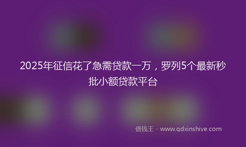 2025年征信花了急需贷款一万，罗列5个最新秒批小额贷款平台