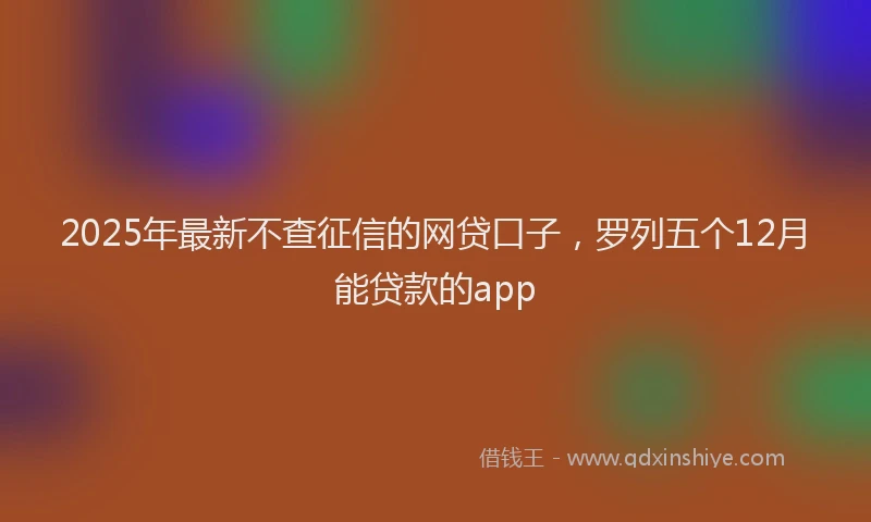 2025年最新不查征信的网贷口子，罗列五个12月能贷款的app