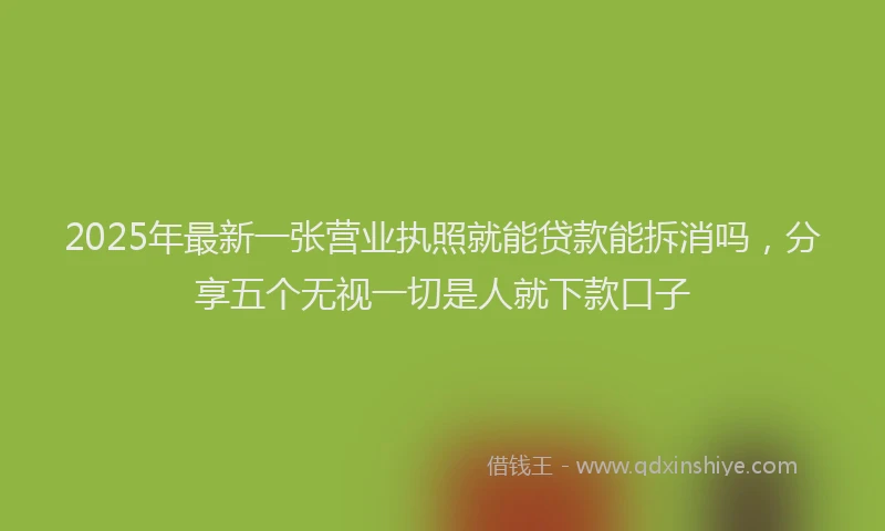 2025年最新一张营业执照就能贷款能拆消吗，分享五个无视一切是人就下款口子