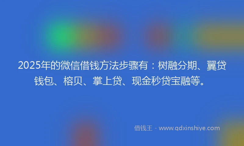 2025年的微信借钱方法步骤有：树融分期、翼贷钱包、榕贝、掌上贷、现金秒贷宝融等。