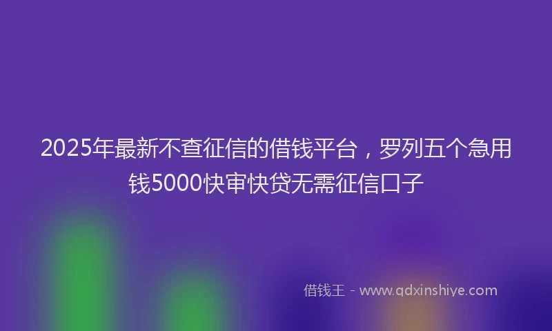 2025年最新不查征信的借钱平台，罗列五个急用钱5000快审快贷无需征信口子