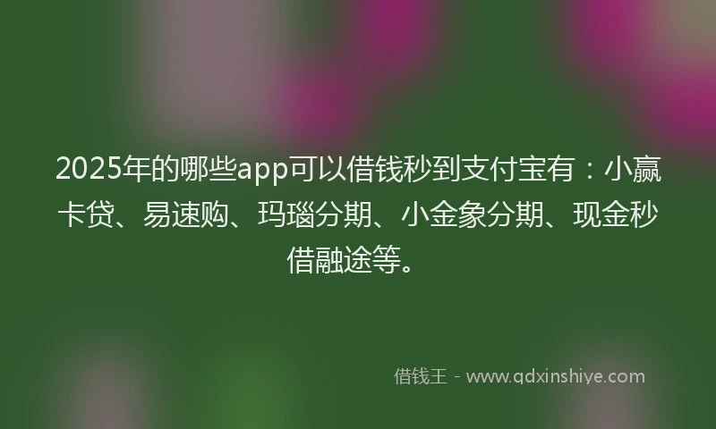 2025年的哪些app可以借钱秒到支付宝有：小赢卡贷、易速购、玛瑙分期、小金象分期、现金秒借融途等。