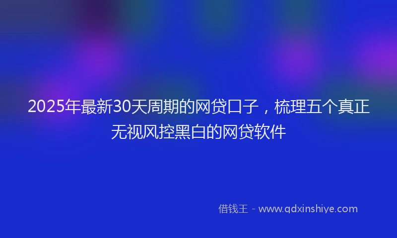 2025年最新30天周期的网贷口子，梳理五个真正无视风控黑白的网贷软件