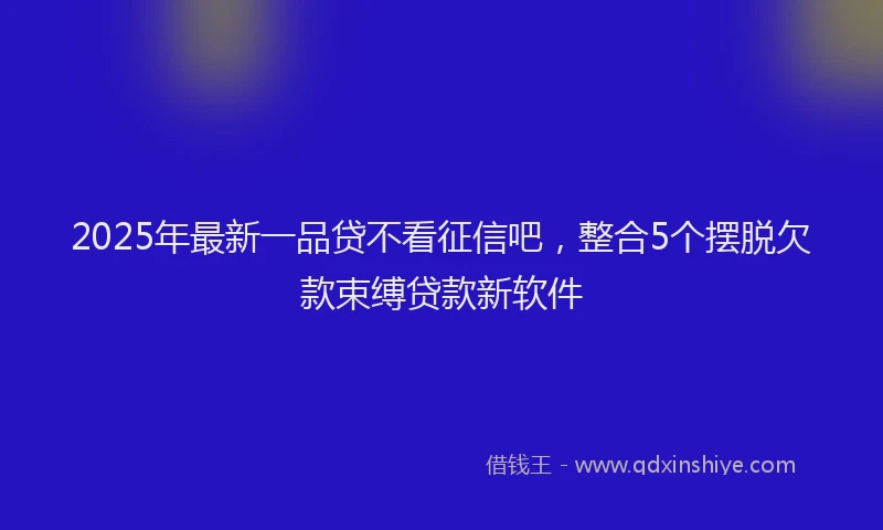 2025年最新一品贷不看征信吧，整合5个摆脱欠款束缚贷款新软件