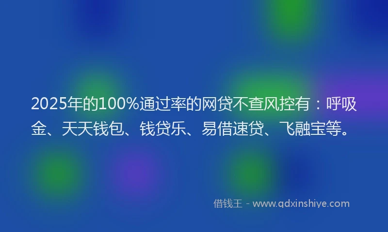 2025年的100%通过率的网贷不查风控有：呼吸金、天天钱包、钱贷乐、易借速贷、飞融宝等。