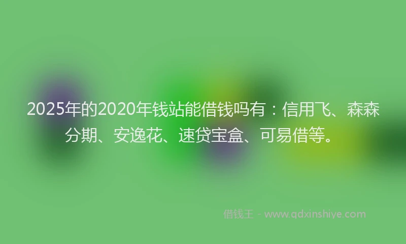2025年的2020年钱站能借钱吗有：信用飞、森森分期、安逸花、速贷宝盒、可易借等。