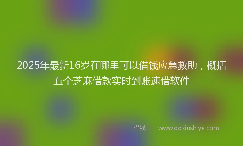 2025年最新16岁在哪里可以借钱应急救助，概括五个芝麻借款实时到账速借软件