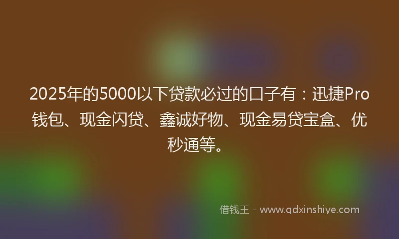 2025年的5000以下贷款必过的口子有：迅捷Pro钱包、现金闪贷、鑫诚好物、现金易贷宝盒、优秒通等。