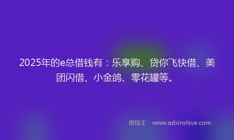 2025年的e总借钱有：乐享购、贷你飞快借、美团闪借、小金鸽、零花罐等。