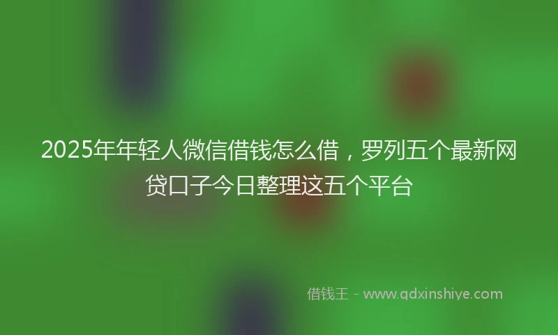 2025年年轻人微信借钱怎么借，罗列五个最新网贷口子今日整理这五个平台