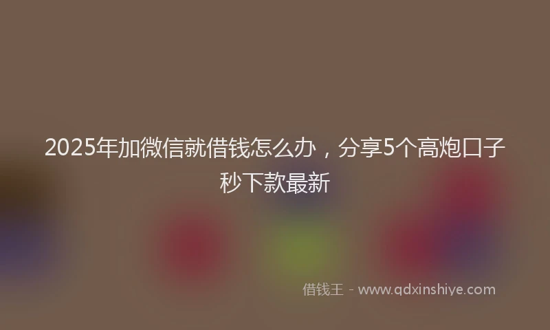 2025年加微信就借钱怎么办，分享5个高炮口子秒下款最新