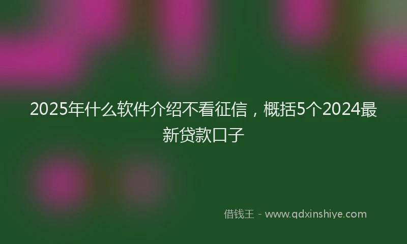 2025年什么软件介绍不看征信，概括5个2024最新贷款口子