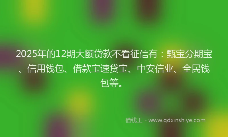 2025年的12期大额贷款不看征信有：甄宝分期宝、信用钱包、借款宝速贷宝、中安信业、全民钱包等。