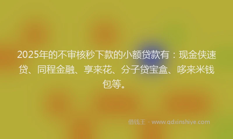 2025年的不审核秒下款的小额贷款有：现金侠速贷、同程金融、享来花、分子贷宝盒、哆来米钱包等。