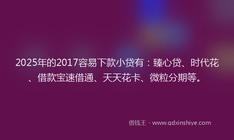 2025年的2017容易下款小贷有：臻心贷、时代花、借款宝速借通、天天花卡、微粒分期等。