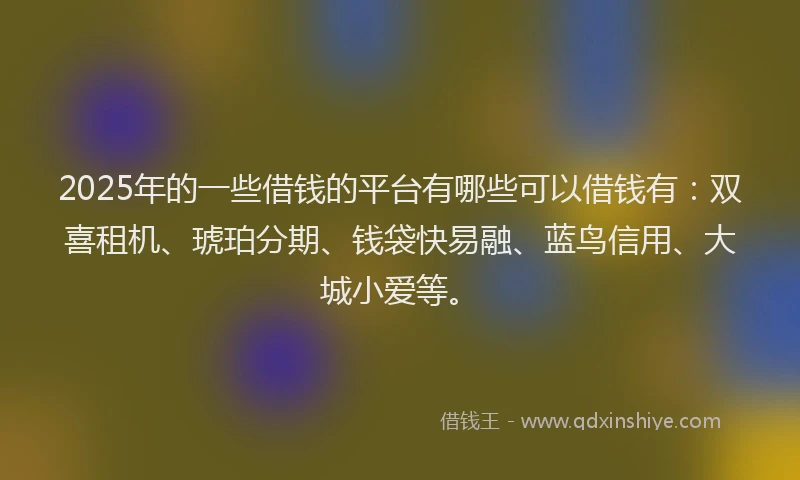 2025年的一些借钱的平台有哪些可以借钱有：双喜租机、琥珀分期、钱袋快易融、蓝鸟信用、大城小爱等。